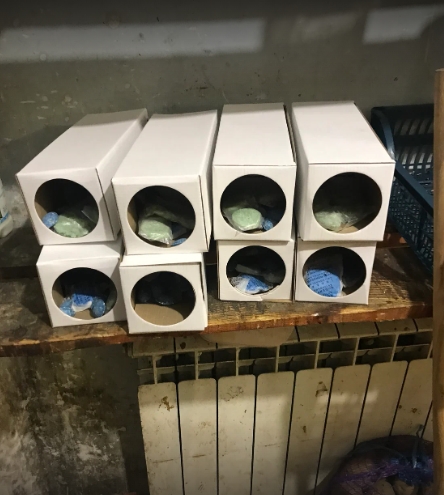Gallery item